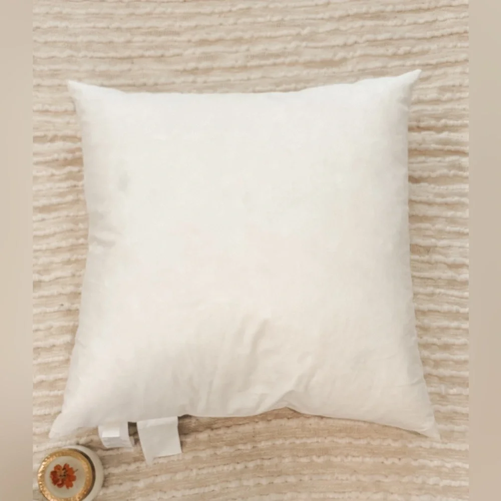 COPY - West Elm 20x20 Decorative Pillow Insert